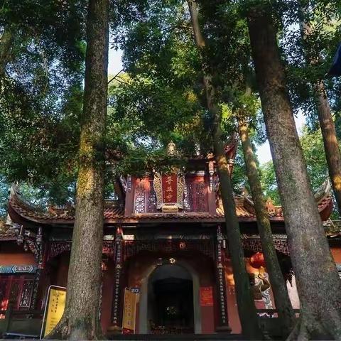 春风春雨里游普照寺