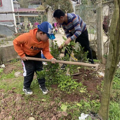 春暖花开，我和小树共成长