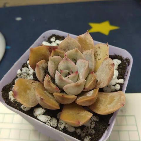 熊大🌈的美篇