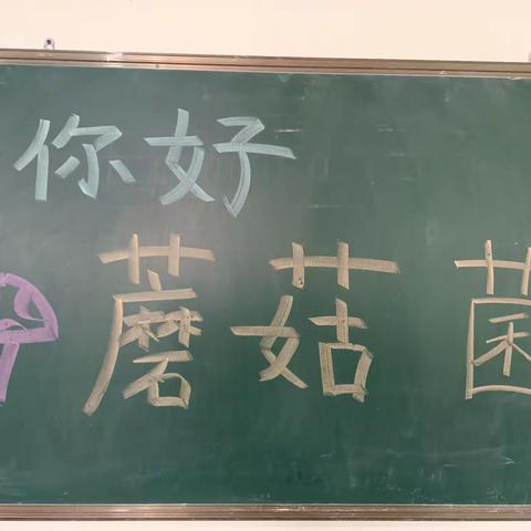 紫荆城幼儿园大二班生成课程《你好·蘑菇菌》