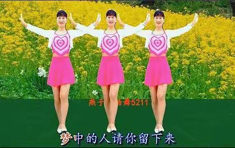 广场舞《梦中的人请你留下来》与你分享!