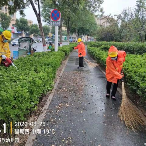 借雨势忙清洁