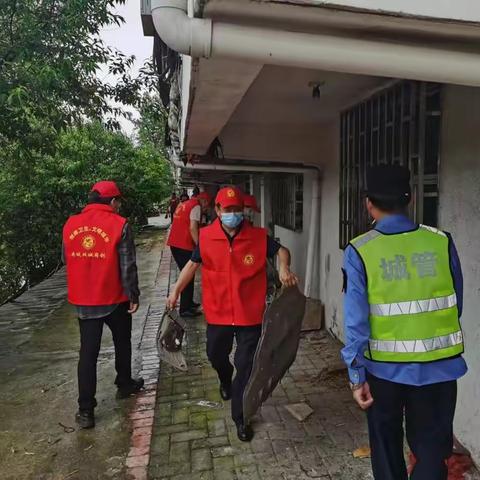 中医药产业发展服务中心开展“双城同创”志愿服务活动