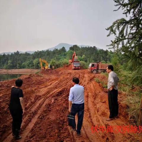 南城县廖坊水库非法库汊整治行动进展情况