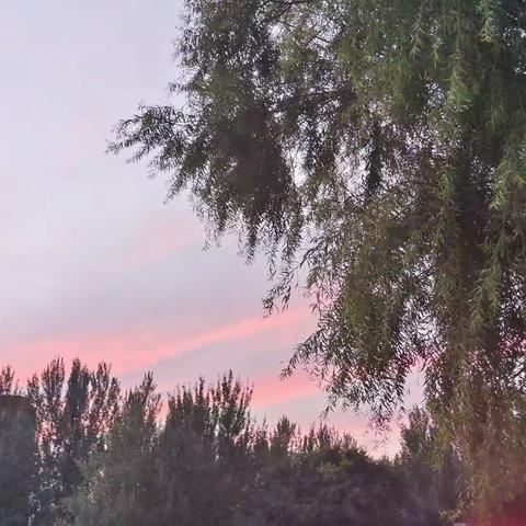 《一年又一年，匆匆又夏天》贰