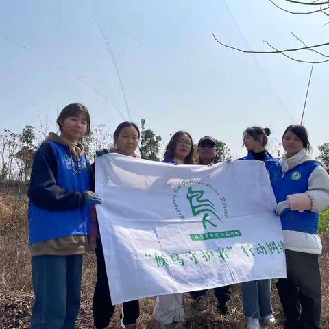 常德护鸟营护鸟飞行动之石门桥镇伍家咀村