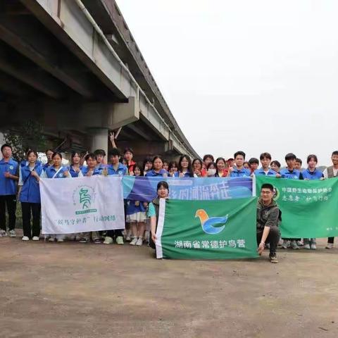 常德护鸟营护鸟飞行动之桃源县盘塘镇