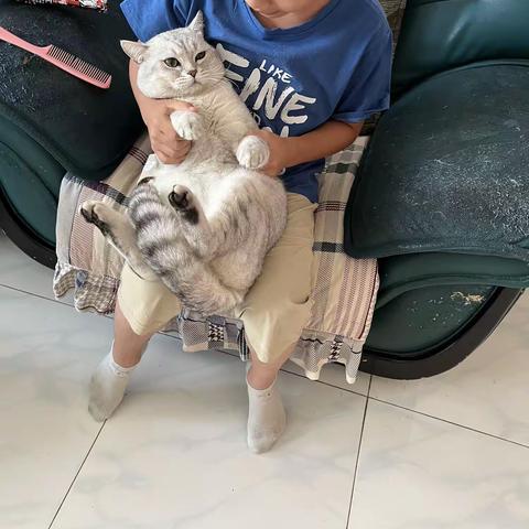 2023-7-19日，感恩日志第455篇。