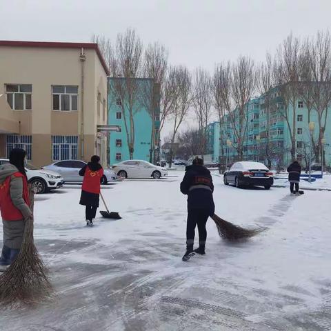 奋斗街道西苑社区:组织“扫雪除雪”志愿服务活动