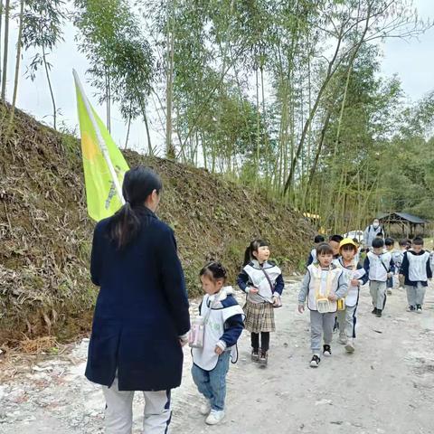 绿满春天、童筝绽放