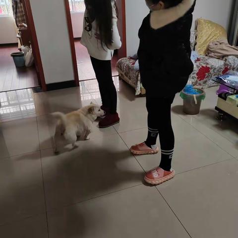 生命在于运动