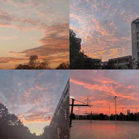 回首2022，我来总结