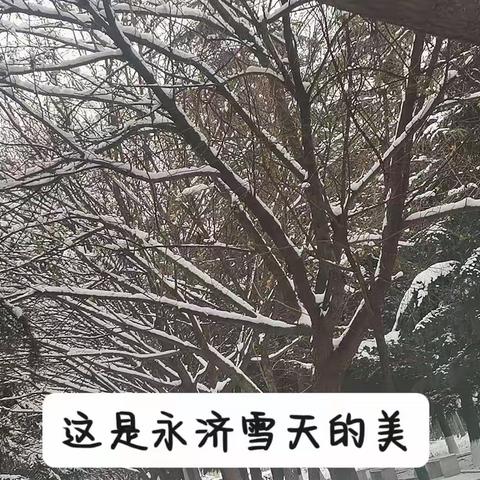 我的家乡——永济