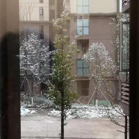 雪舞漫天