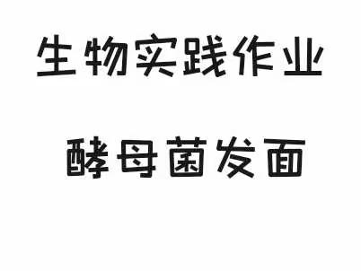 酵母菌发面