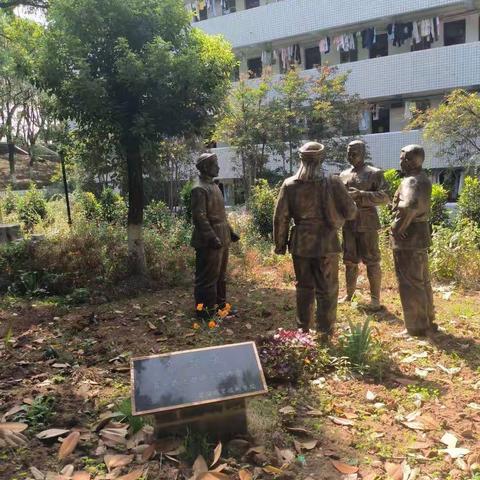 2023寒假社会实践，小教2203班15号李雪丽回首2022我来总结——我和我的大学