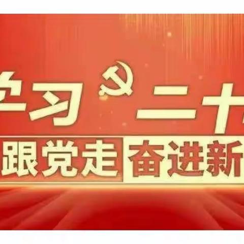 2023寒假社会实践学习党的二十大，小教2203班15号李雪丽