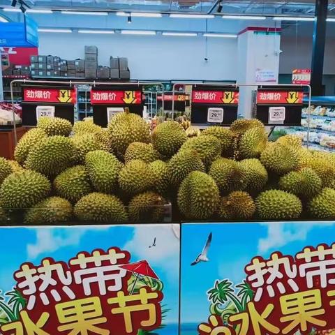 A4-2445:一鼓作气 挑战佳绩