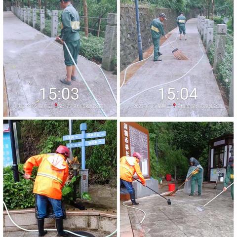 龙华区观湖街道公园绿化养护工作汇报