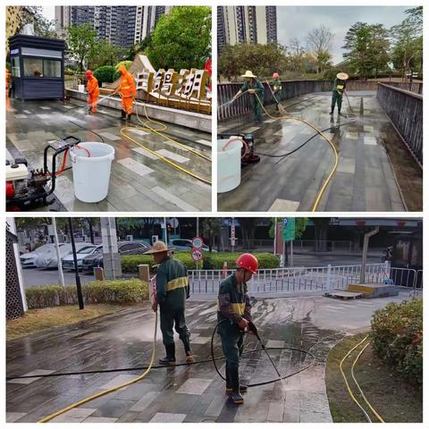 龙华区观湖街道公园绿化养护工作汇报