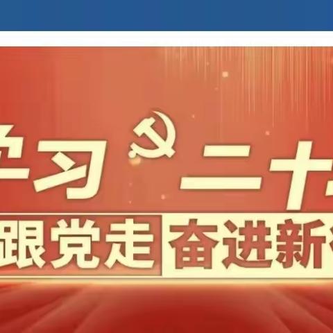 【学习宣传贯彻党的二十大精神】党的二十大精神我来讲