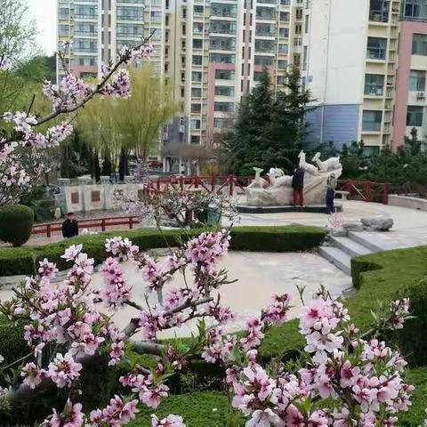 鸟语花香的家园