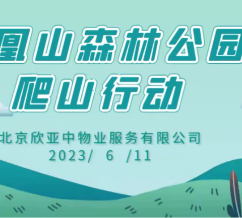 凤凰山森林公园团建第三站|2023年北京欣亚中深圳机场项目部