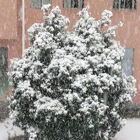 回首2022 我来总结（特教2201 孙彰柯）