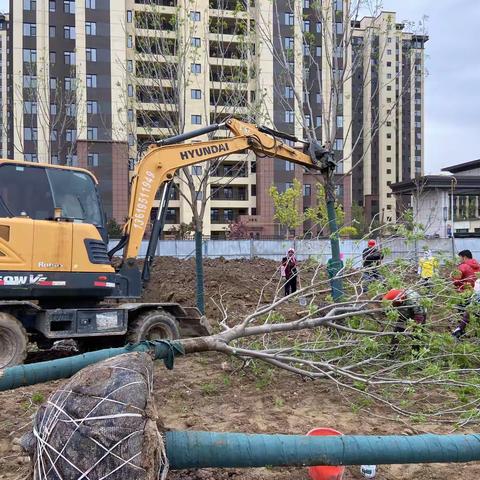 大地春回植绿忙，生态建设战正酣