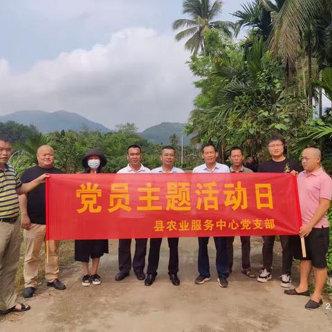 党建引领工作  送农业服务下乡