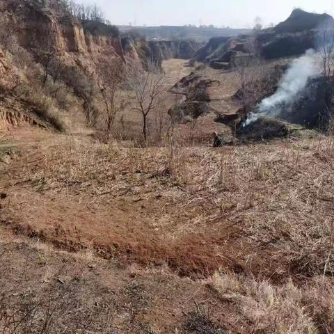 石哲镇东村某村民焚烧秸秆被公安机关依法行政拘留