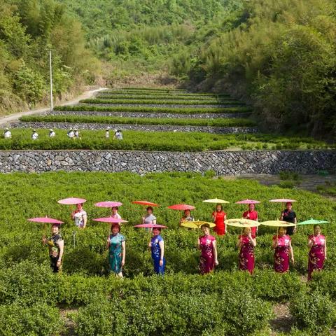 吴越有礼潜川有礼——与亚运同行，展巾帼风采
