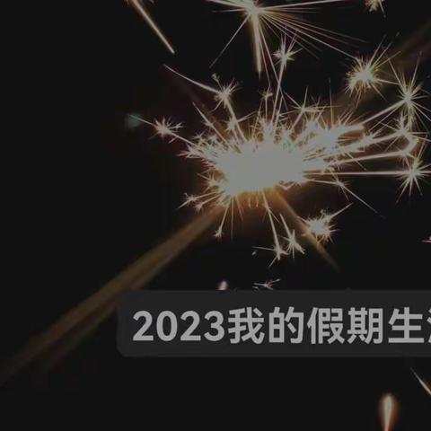 2023我的假期生活   宗好223560