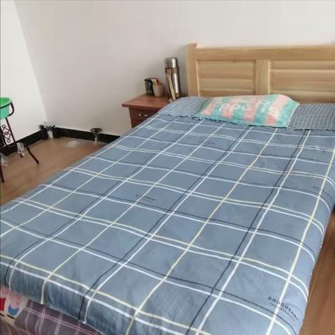 2023我的假期生活