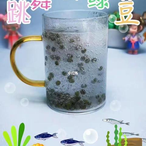 科学衔接《跳舞的绿豆》主题教育活动-----合阳县雅静园幼儿园小一班