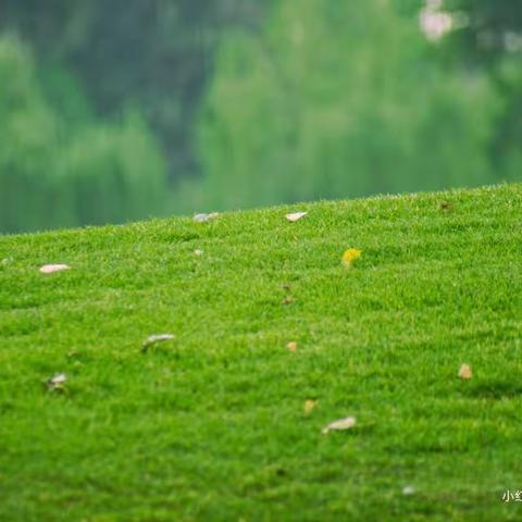 博览一班周一学习内容