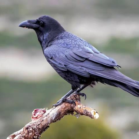 博览一班周一学习内容