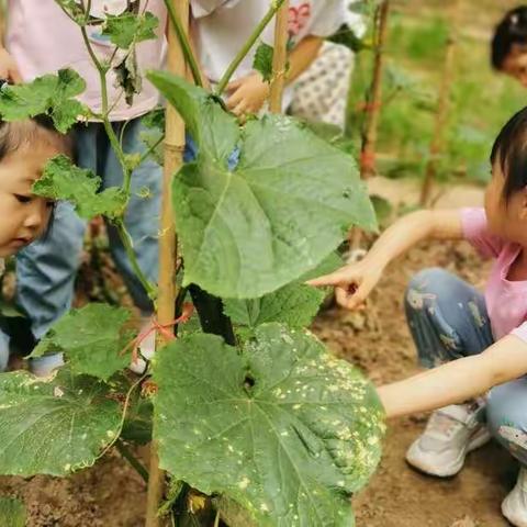 【高新教育】博雅幼儿园小一班——“因为接纳 🏠 所以包容”