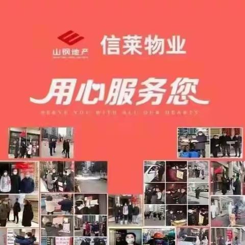 鸿悦华府项目周工作简报（2023.2.27-2023.3.5）