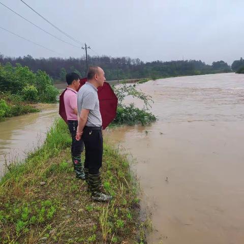 风雨无情，人有情