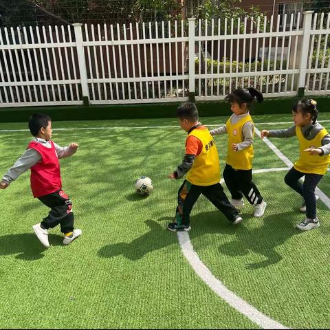 华美风景园大班足球⚽️启蒙课