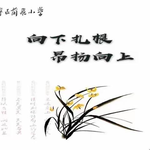 “遇见•书香”——兰飞小学教师寒假读书分享会