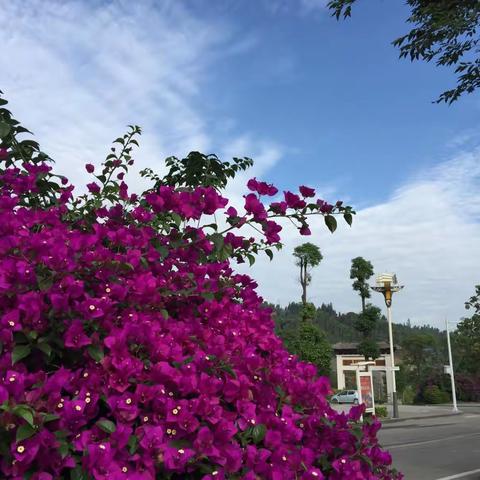 西昌卭海湿地公园，市民免费的休闲场所，玩半天还不够。