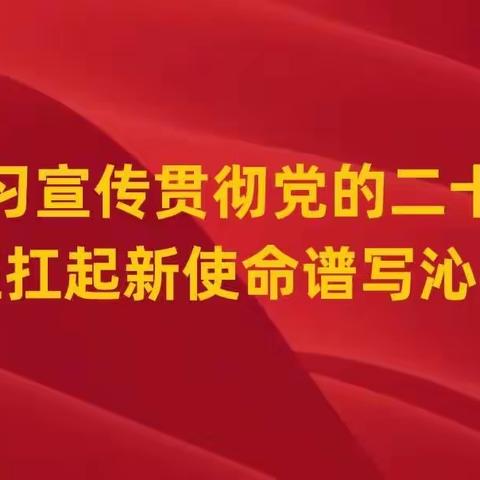 定昌镇西段庄村“三个一批”工作进展情况（4月21日）