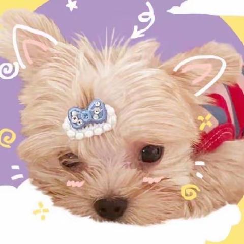 💒奥源幼儿园小二班第八周精彩回顾