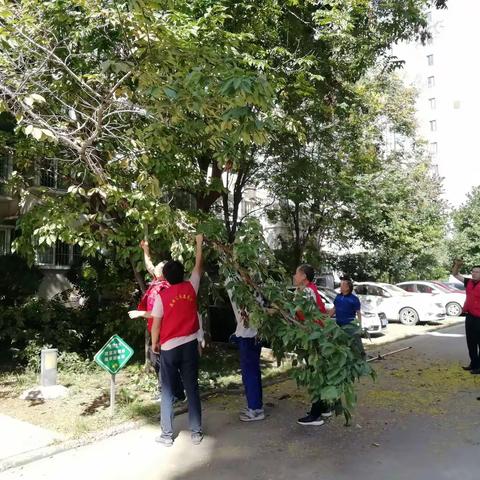 喜迎十四运，共建文明城，美化环境我最行！——兴水公司党支部开展迎十四运志愿服务活动