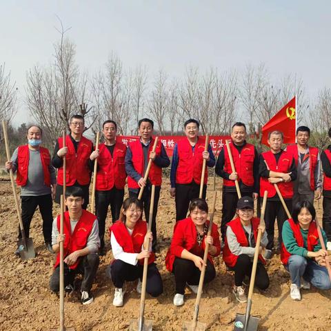 植树添新绿，不负好春光——兴水公司党支部组织开展义务植树活动