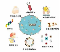 正确了解诺如病毒