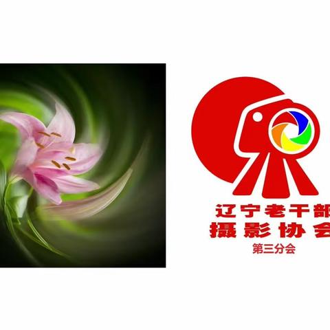 辽宁老干部摄影协会第三分会群作品选登【4】