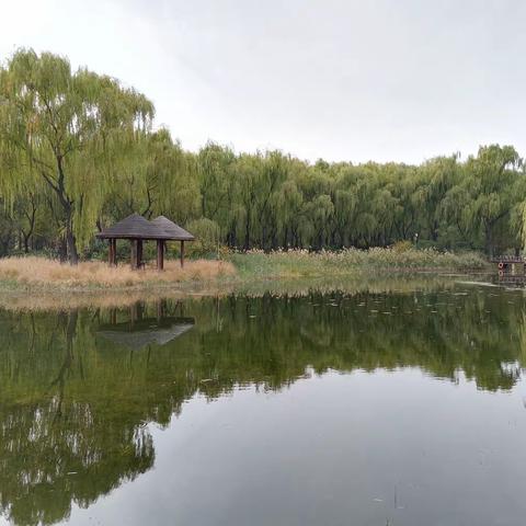 你是我的风景线